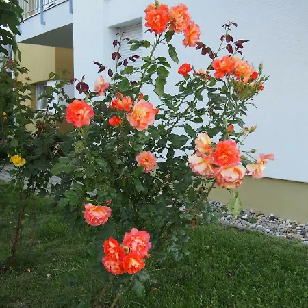 Apartamento Diplomat